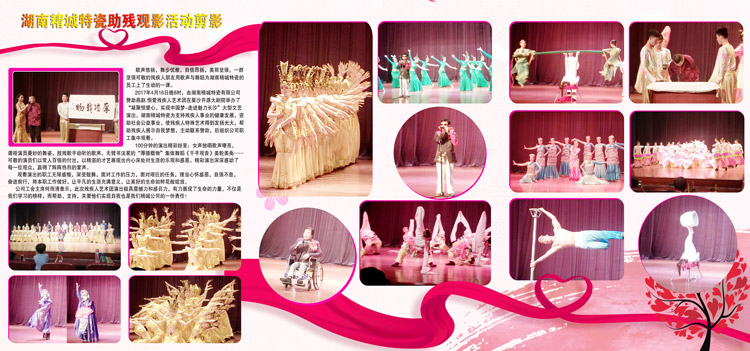 湖南威廉希尔赞助燕赵·恒爱残疾人艺术团圆满演出